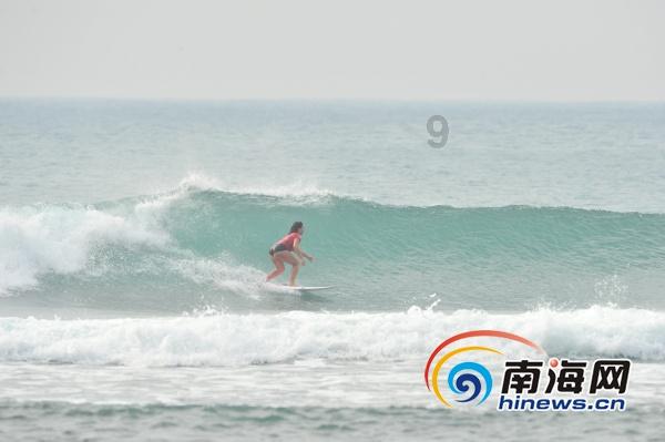 游客暴力抓住海鸥拍照，青岛栈桥景区：海鸥属保护动物，制止未果会报警