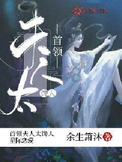 小猫钓鱼正版下载中文版